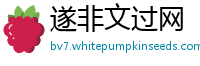 遂非文过网